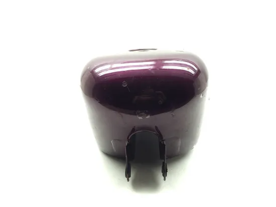Gas Tank Fuel Petrol 1995 Harley-Davidson Sportster 883 XLH883 3308 x 4