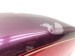 Gas Tank Fuel Petrol 1995 Harley-Davidson Sportster 883 XLH883 3308 x