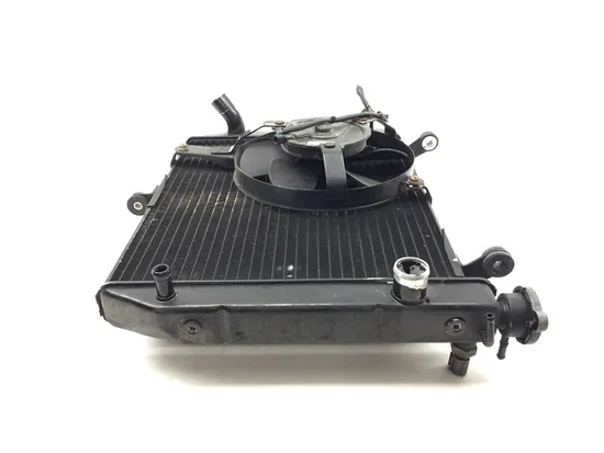 Radiator Cooling Front Fluid with Fan 2000 Yamaha YZF R1 3309