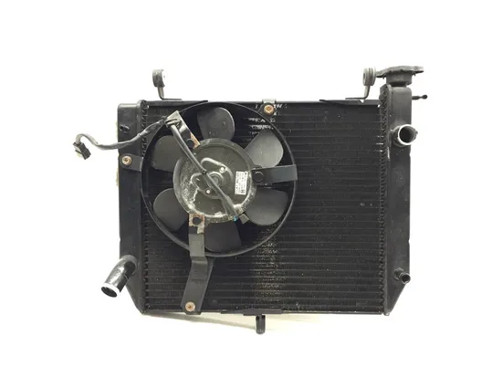 Radiator Cooling Front Fluid with Fan 2000 Yamaha YZF R1 3309