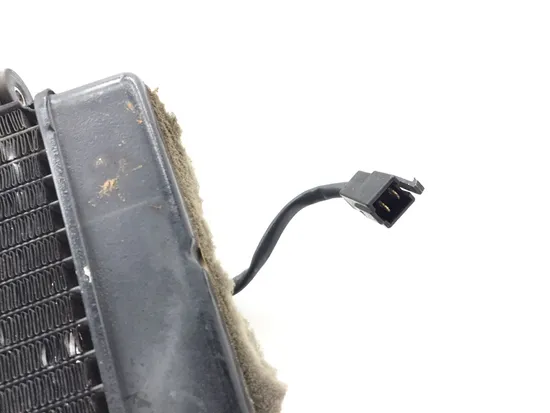 Radiator Cooling Front Fluid with Fan 2000 Yamaha YZF R1 3309