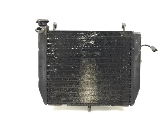 Radiator Cooling Front Fluid with Fan 2000 Yamaha YZF R1 3309