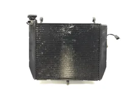 Radiator Cooling Front Fluid with Fan 2000 Yamaha YZF R1 3309