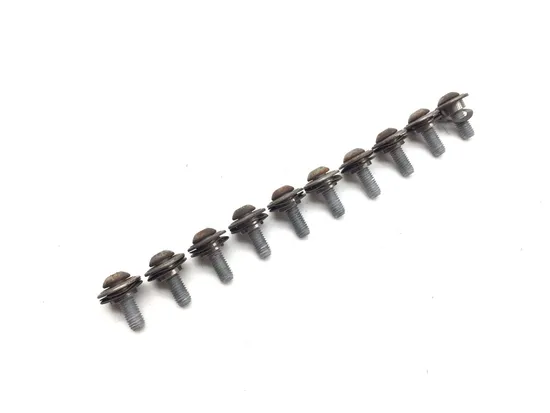 Left Right Front Brake Disc Rotor Bolts 2008 BMW F800ST 3301