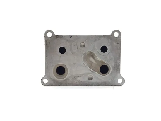 Engine Oil Cooler 2008 BMW F800ST 3301