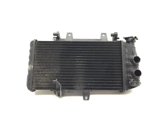 Engine Radiator Cooling 2008 BMW F800ST 3301