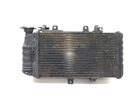 Engine Radiator Cooling 2008 BMW F800ST 3301