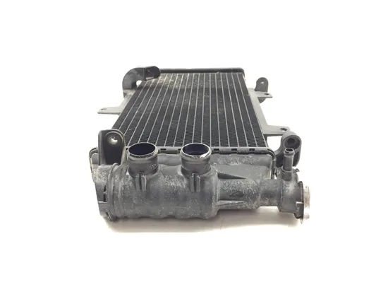 Engine Radiator Cooling 2008 BMW F800ST 3301