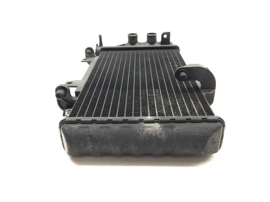 Engine Radiator Cooling 2008 BMW F800ST 3301