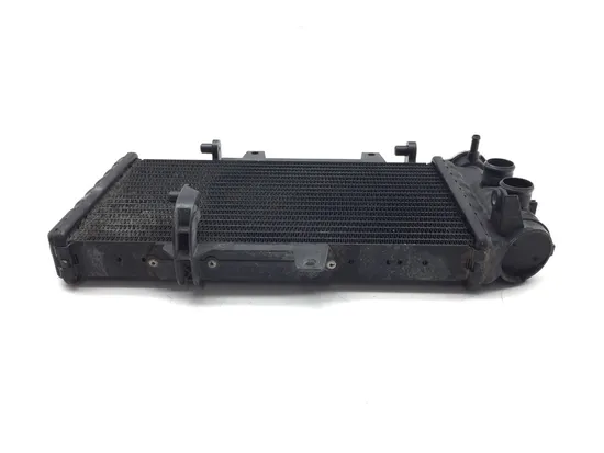 Engine Radiator Cooling 2008 BMW F800ST 3301