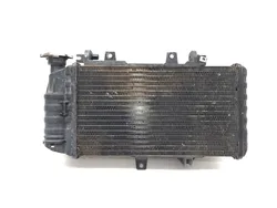Engine Radiator Cooling 2008 BMW F800ST 3301