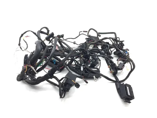 Main Engine Wiring Harness 2008 BMW F800ST 3301 PARTS