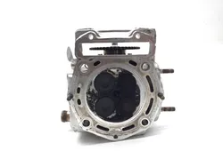 Cylinder Head Complete W Valves Front 2015 John Deere Gator RSX 850i 4X4 3307 x