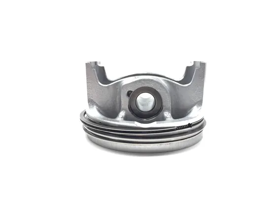 Engine Cylinder Jug W Piston Left 2015 John Deere Gator RSX 850i 4X4 3307