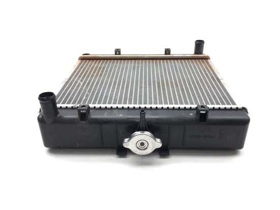 Engine Radiator Cooling 2015 John Deere Gator RSX 850i 4X4 3307