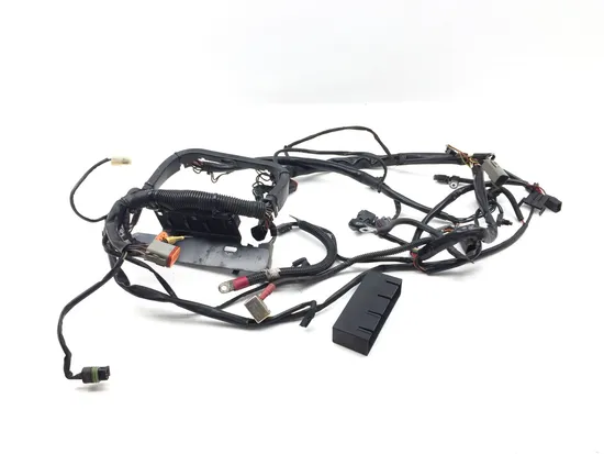 Main Engine Wiring Harness 2004 Harley-Davidson Softail Deuce FXSTD 3319