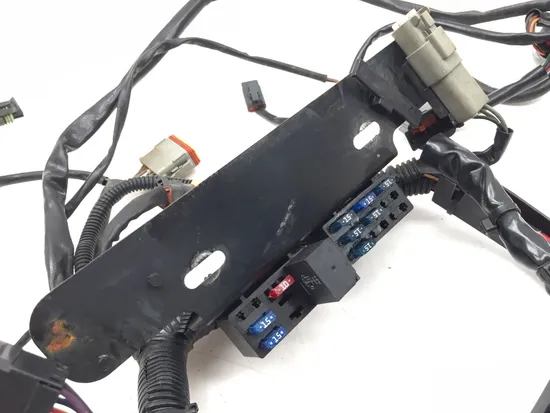 Main Engine Wiring Harness 2004 Harley-Davidson Softail Deuce FXSTD 3319