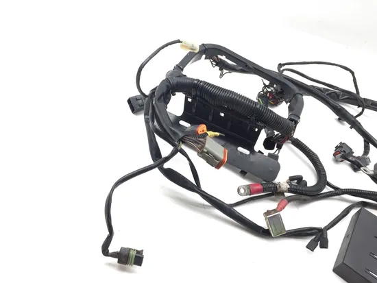 Main Engine Wiring Harness 2004 Harley-Davidson Softail Deuce FXSTD 3319