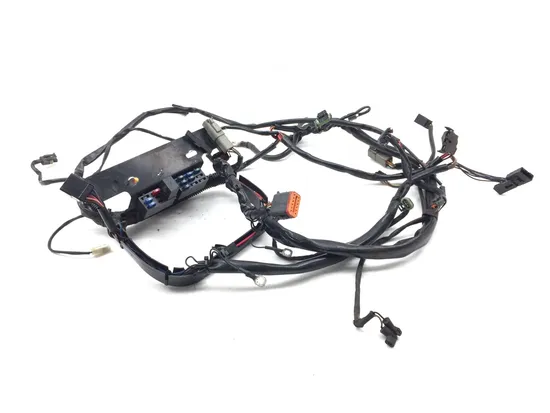 Main Engine Wiring Harness 2004 Harley-Davidson Softail Deuce FXSTD 3319