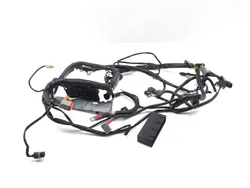 Main Engine Wiring Harness 2004 Harley-Davidson Softail Deuce FXSTD 3319