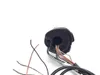 Right Control Switch 2004 Harley-Davidson Softail Deuce FXSTD 3319 x