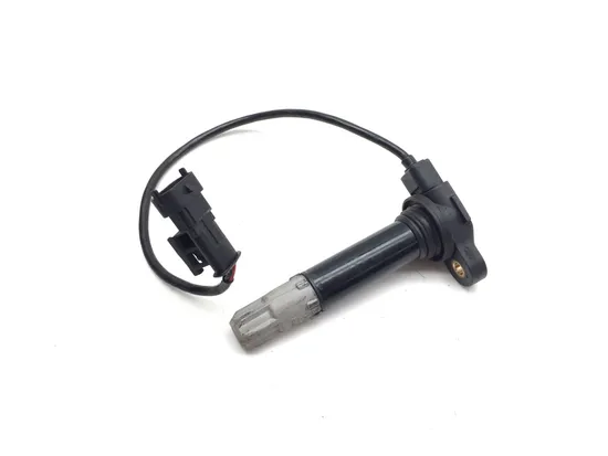 Ignition Coil Set 2010 Ducati Streetfighter 3320