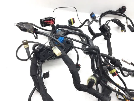 Main Engine Wiring Harness 2010 Ducati Streetfighter 3320 PARTS