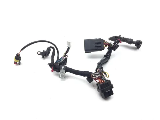 Main Engine Wiring Harness 2010 Ducati Streetfighter 3320 PARTS