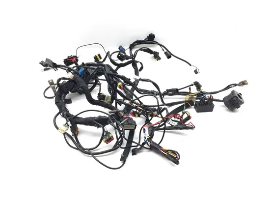 Main Engine Wiring Harness 2010 Ducati Streetfighter 3320 PARTS