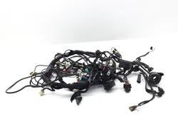 Main Engine Wiring Harness 2010 Ducati Streetfighter 3320 PARTS