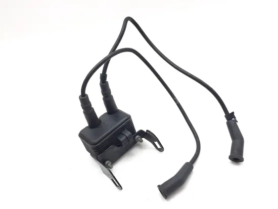 Ignition Coil Set 2002 Harley-Davidson Electra Glide Classic FLHTC 3317