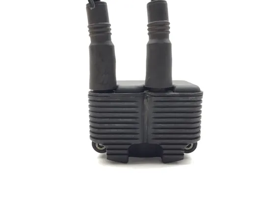 Ignition Coil Set 2002 Harley-Davidson Electra Glide Classic FLHTC 3317