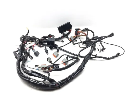 Main Engine Wiring Harness 2002 Harley-Davidson Electra Glide Classic FLHTC 3317