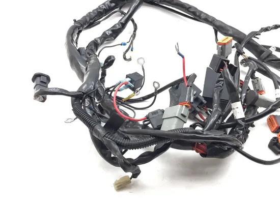 Main Engine Wiring Harness 2002 Harley-Davidson Electra Glide Classic FLHTC 3317