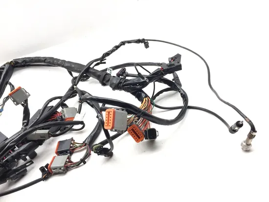 Main Engine Wiring Harness 2002 Harley-Davidson Electra Glide Classic FLHTC 3317