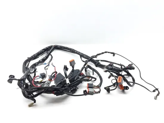 Main Engine Wiring Harness 2002 Harley-Davidson Electra Glide Classic FLHTC 3317