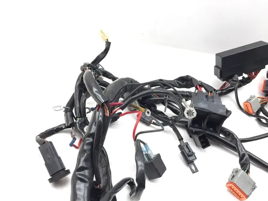 Main Engine Wiring Harness 2002 Harley-Davidson Electra Glide Classic FLHTC 3317