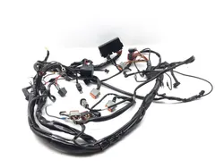 Main Engine Wiring Harness 2002 Harley-Davidson Electra Glide Classic FLHTC 3317