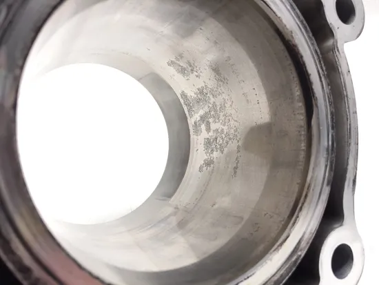 Engine Cylinder Jug W Piston 2021 Polaris Sportsman 450 HO EPS 3323