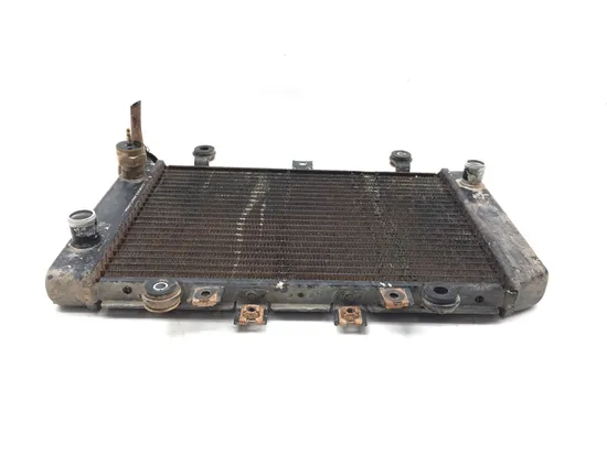 Engine Radiator Cooling 2001 Kawasaki Prairie 400 KVF400C 4x4 3329