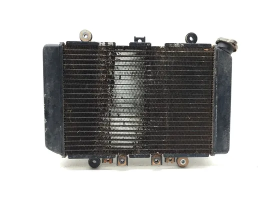 Engine Radiator Cooling 2001 Kawasaki Prairie 400 KVF400C 4x4 3329