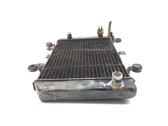 Engine Radiator Cooling 2001 Kawasaki Prairie 400 KVF400C 4x4 3329