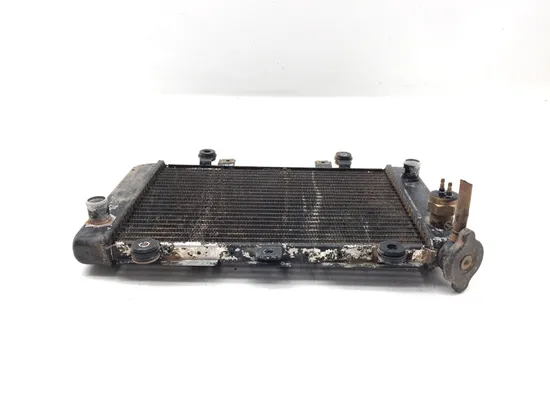 Engine Radiator Cooling 2001 Kawasaki Prairie 400 KVF400C 4x4 3329