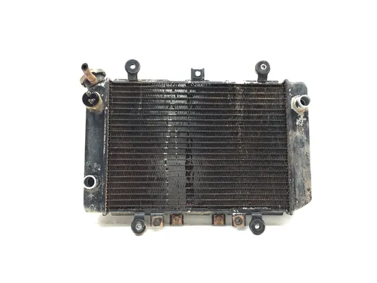 Engine Radiator Cooling 2001 Kawasaki Prairie 400 KVF400C 4x4 3329