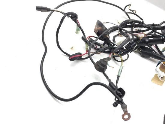 Main Engine Wiring Harness 2001 Kawasaki Prairie 400 KVF400C 4x4 3329 PARTS