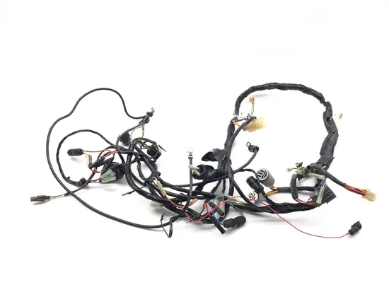 Main Engine Wiring Harness 2001 Kawasaki Prairie 400 KVF400C 4x4 3329 PARTS