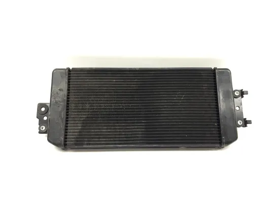 Engine Radiator Cooling 2008 Suzuki Boulevard M50Z 3326