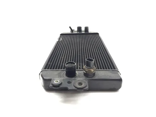 Engine Radiator Cooling 2008 Suzuki Boulevard M50Z 3326