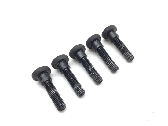 Rear Brake Rotor Disc Bolts 2002 Victory V92TC Deluxe 3325