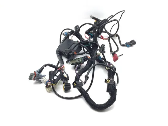 Main Engine Wiring Harness 2002 Victory V92TC Deluxe 3325